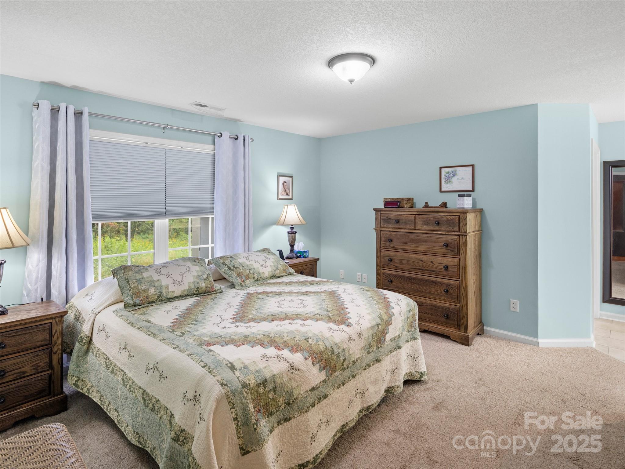 50 Ridgeland Lane Asheville, NC 28805 - Photo 17 of 26