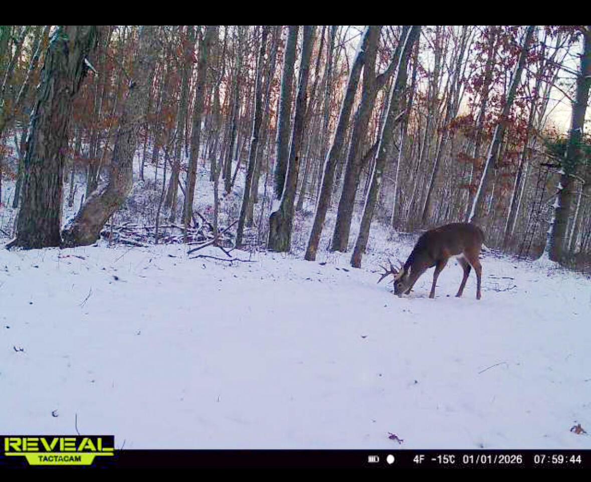 36472 Kern Road Union Furnace, OH 43158 - Photo 68 of 68 Kern Rd-68