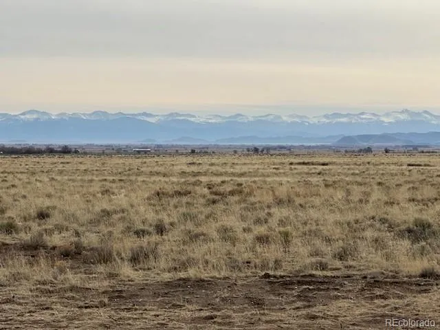 a view of a field with an ocean