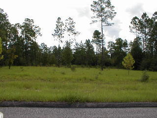 5976 Old Hickory Road Crestview, FL 32539 - Photo 1 of 1 a view of outdoor space with green field and trees