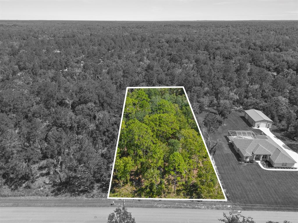 Yellow Hammer Road Weeki Wachee, FL 34614 - Photo 1 of 1 Gallery Image 1