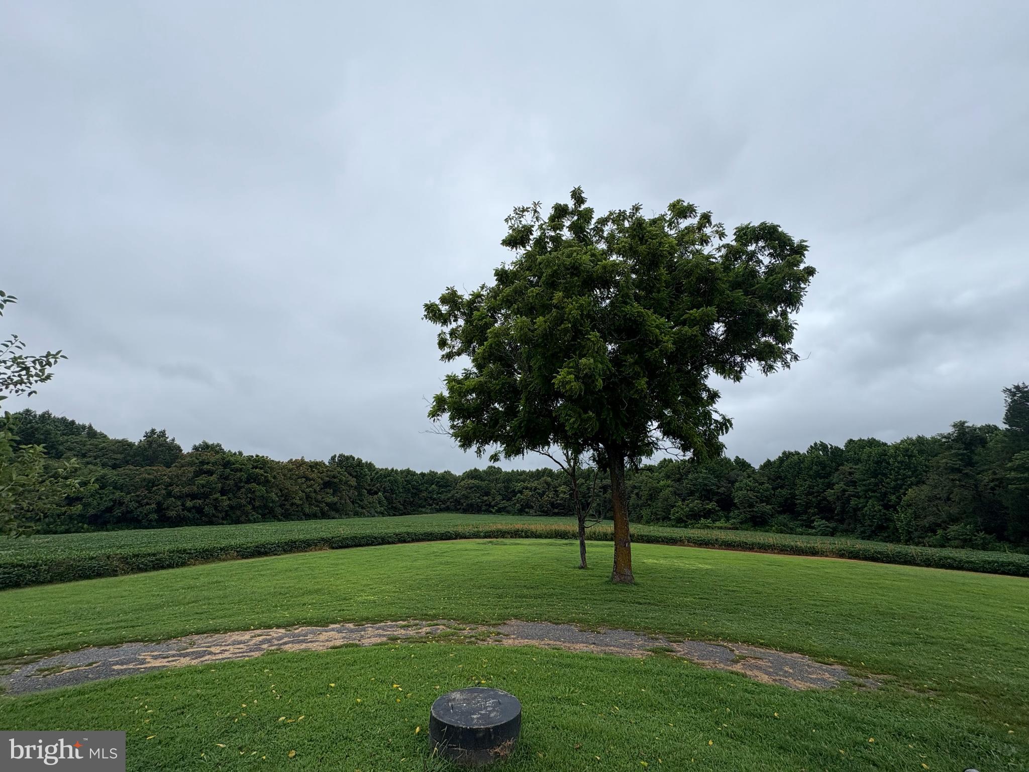 6525 Nomini Hall Road Hague, VA 22469 - Photo 37 of 44 a view of a golf course with a garden