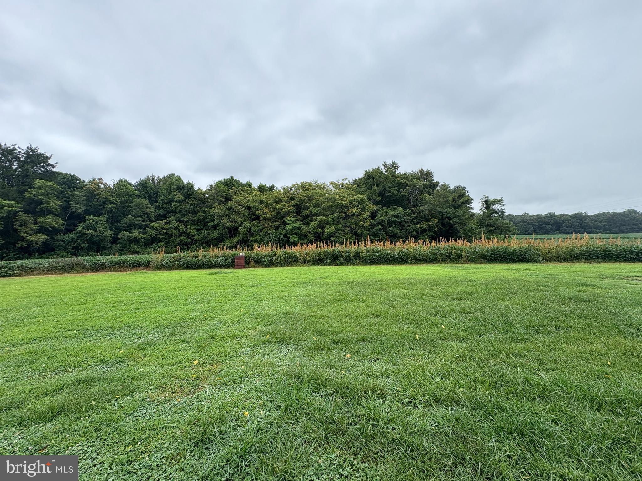 6525 Nomini Hall Road Hague, VA 22469 - Photo 39 of 44 a view of field with green field