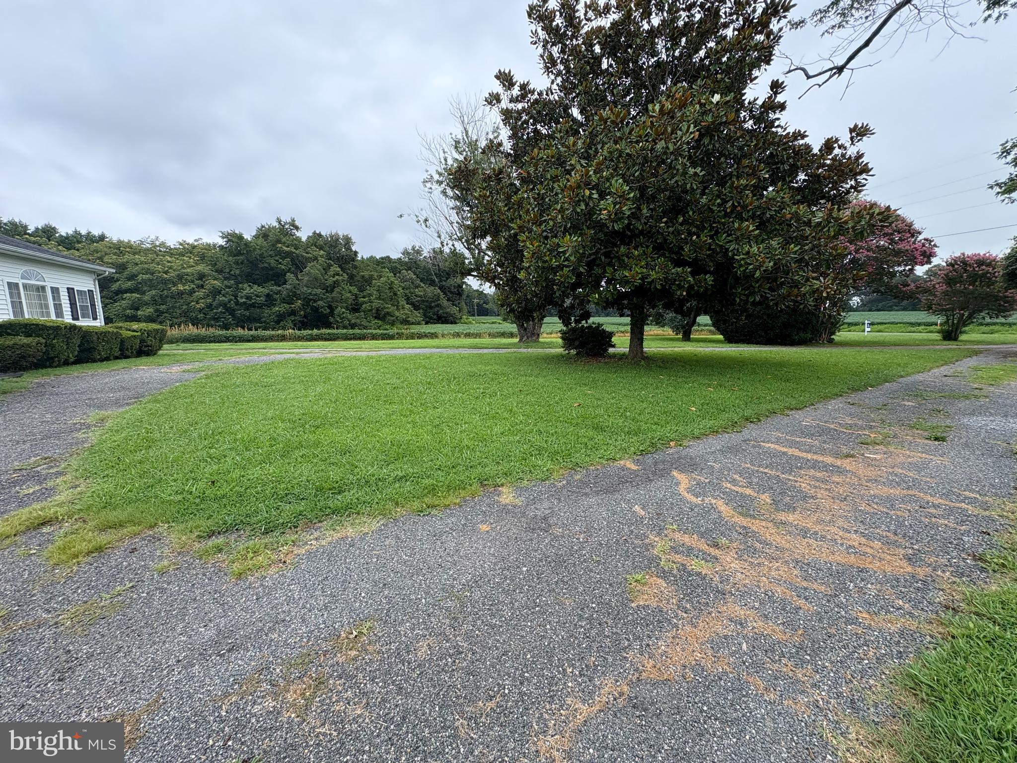 6525 Nomini Hall Road Hague, VA 22469 - Photo 40 of 44 a view of a park and trees in the background