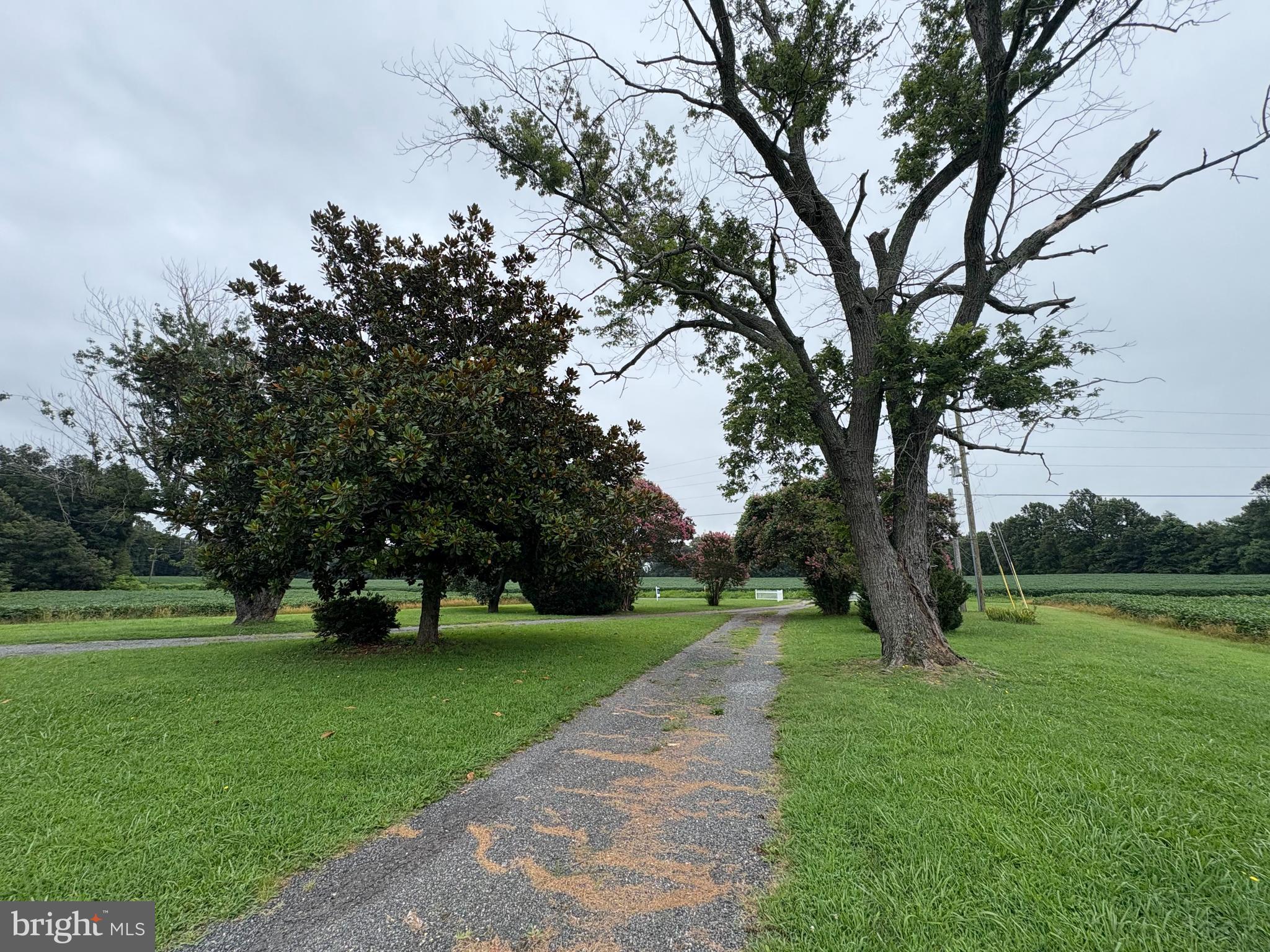 6525 Nomini Hall Road Hague, VA 22469 - Photo 41 of 44 a view of a park with tree s