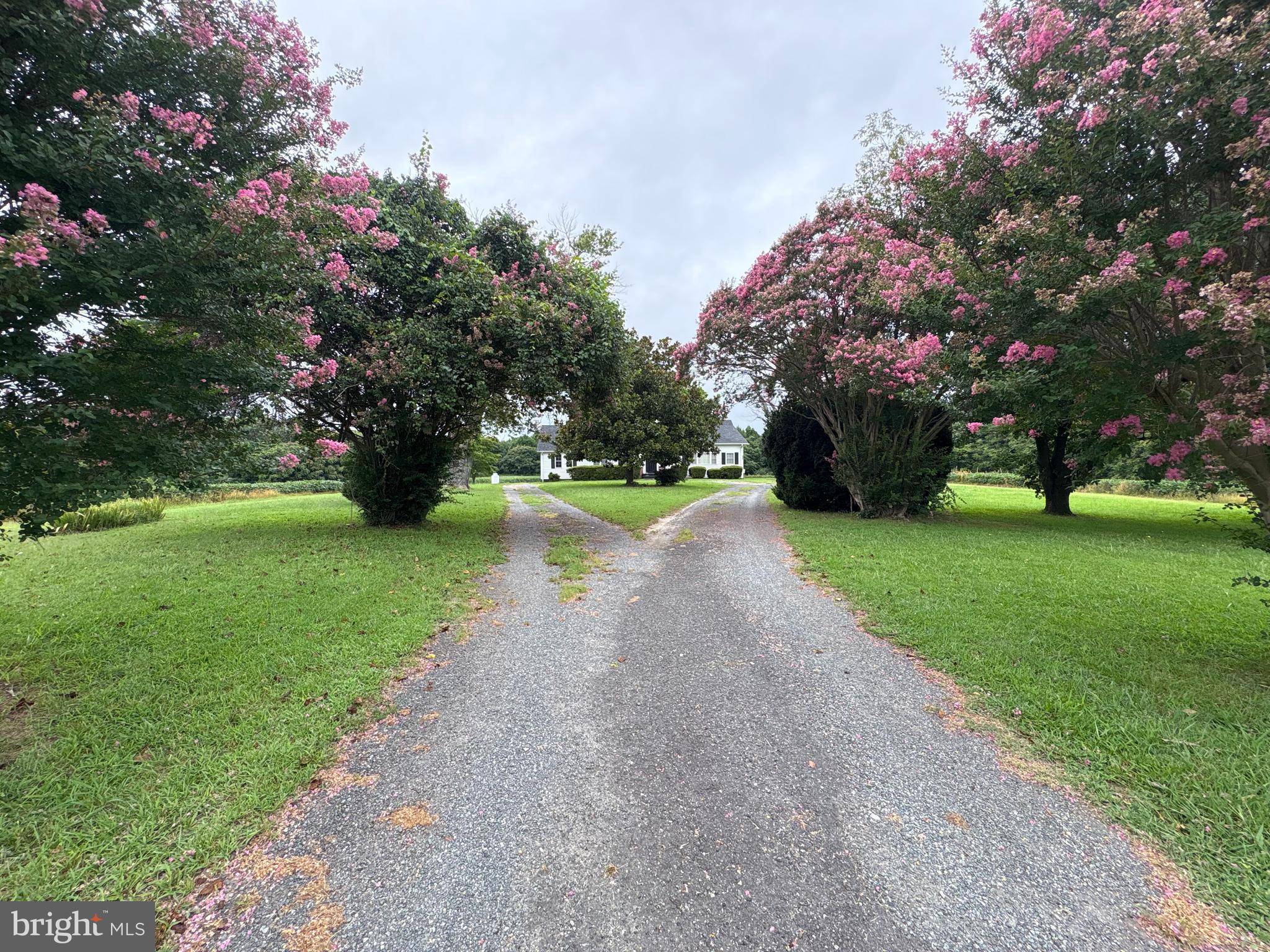 6525 Nomini Hall Road Hague, VA 22469 - Photo 5 of 44 a view of a park with large trees
