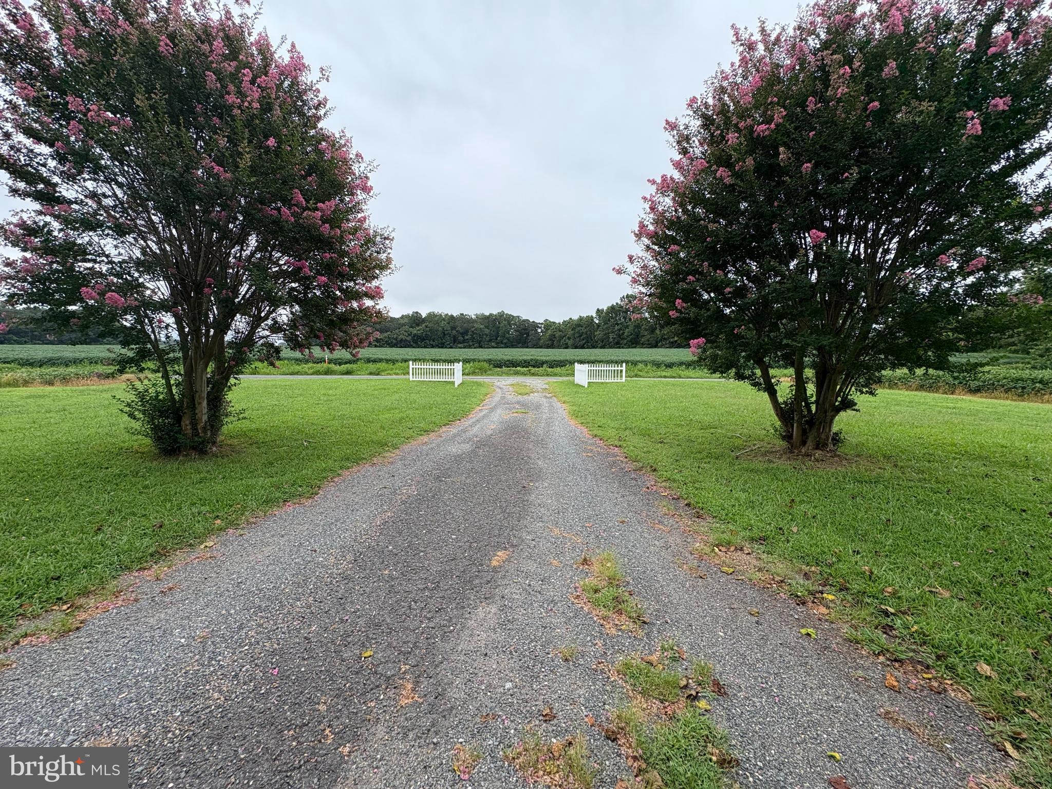 6525 Nomini Hall Road Hague, VA 22469 - Photo 6 of 44 a view of a park with large trees