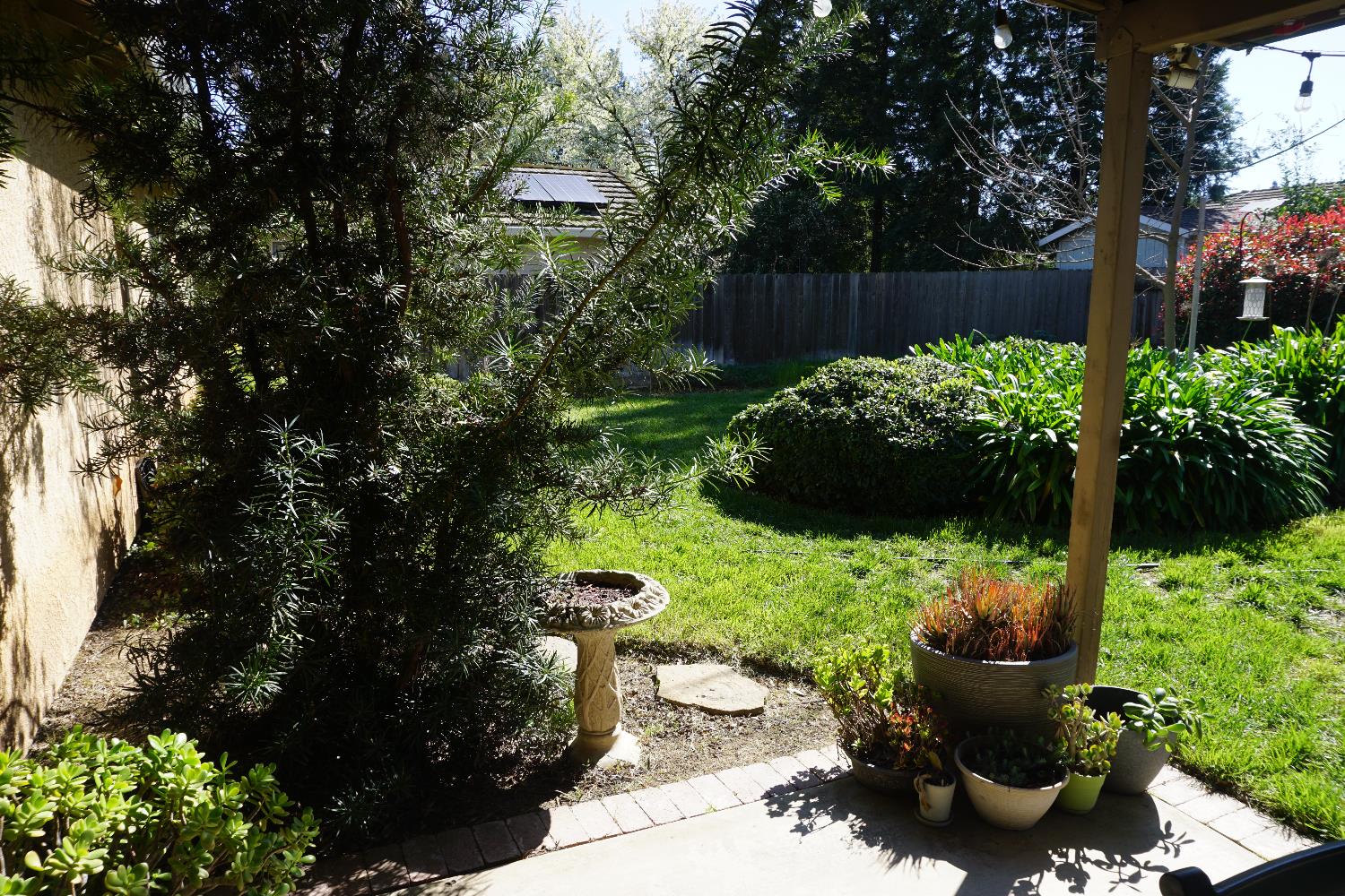 954 Wake Forest Court Merced, CA 95348 - Photo 28 of 36 a view of a garden with plants and large trees