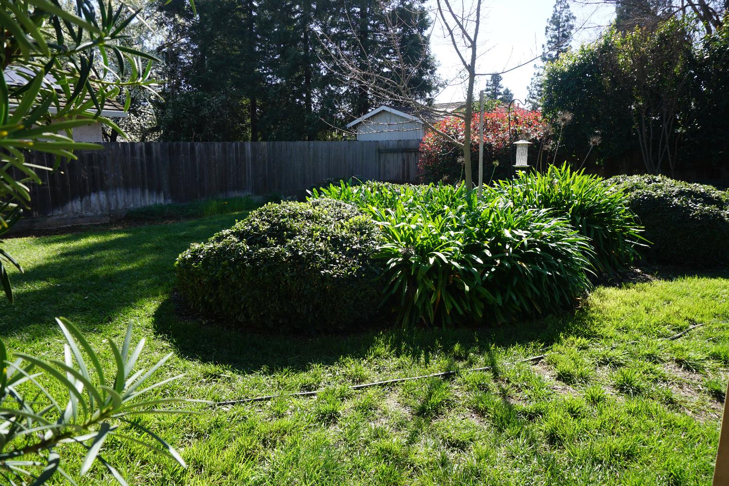 954 Wake Forest Court Merced, CA 95348 - Photo 30 of 36 a view of a garden with a flower in a garden
