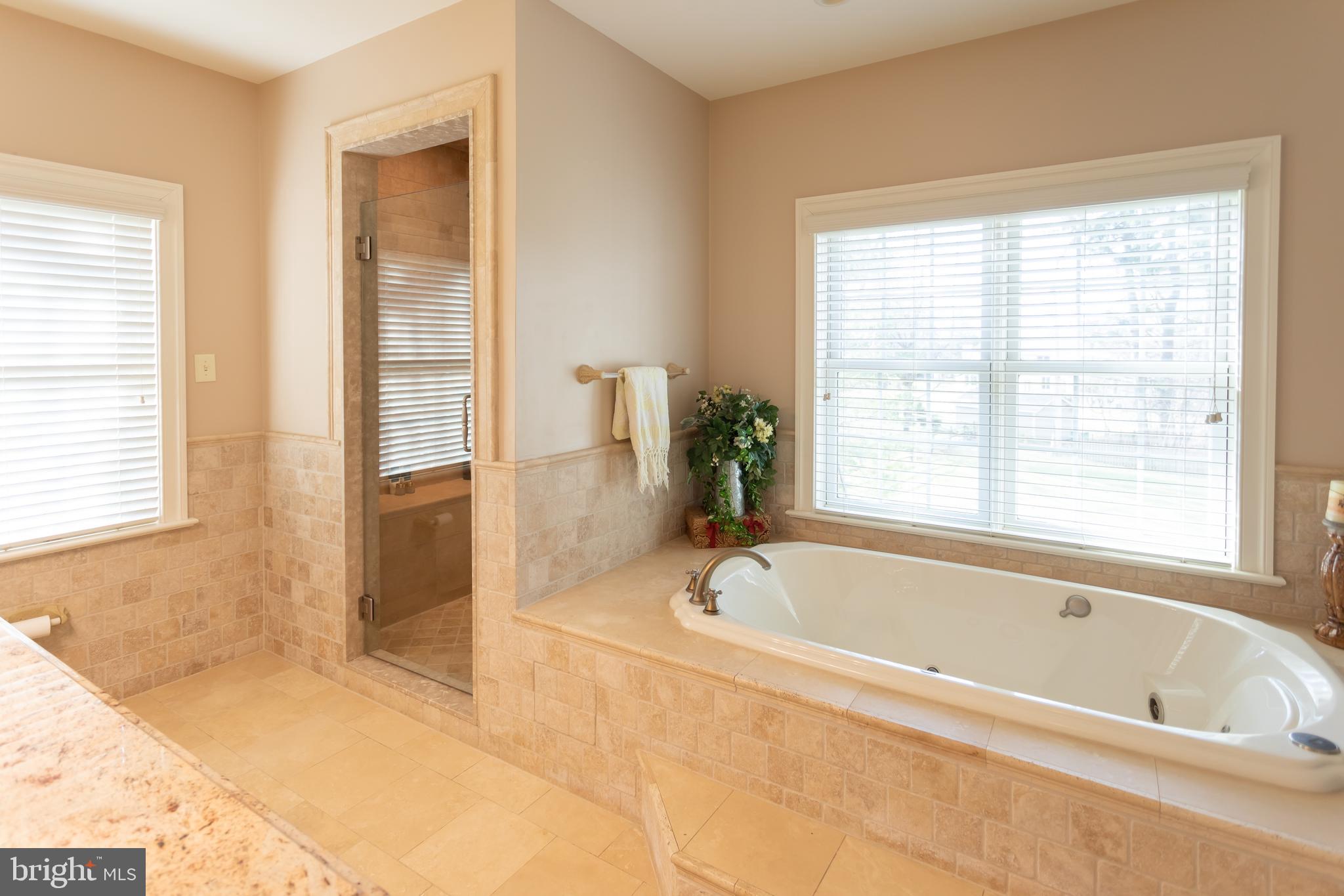 904 Wootton Road Bryn Mawr, PA 19010 - Photo 18 of 38 "Hers" Master bath w/jetted tub