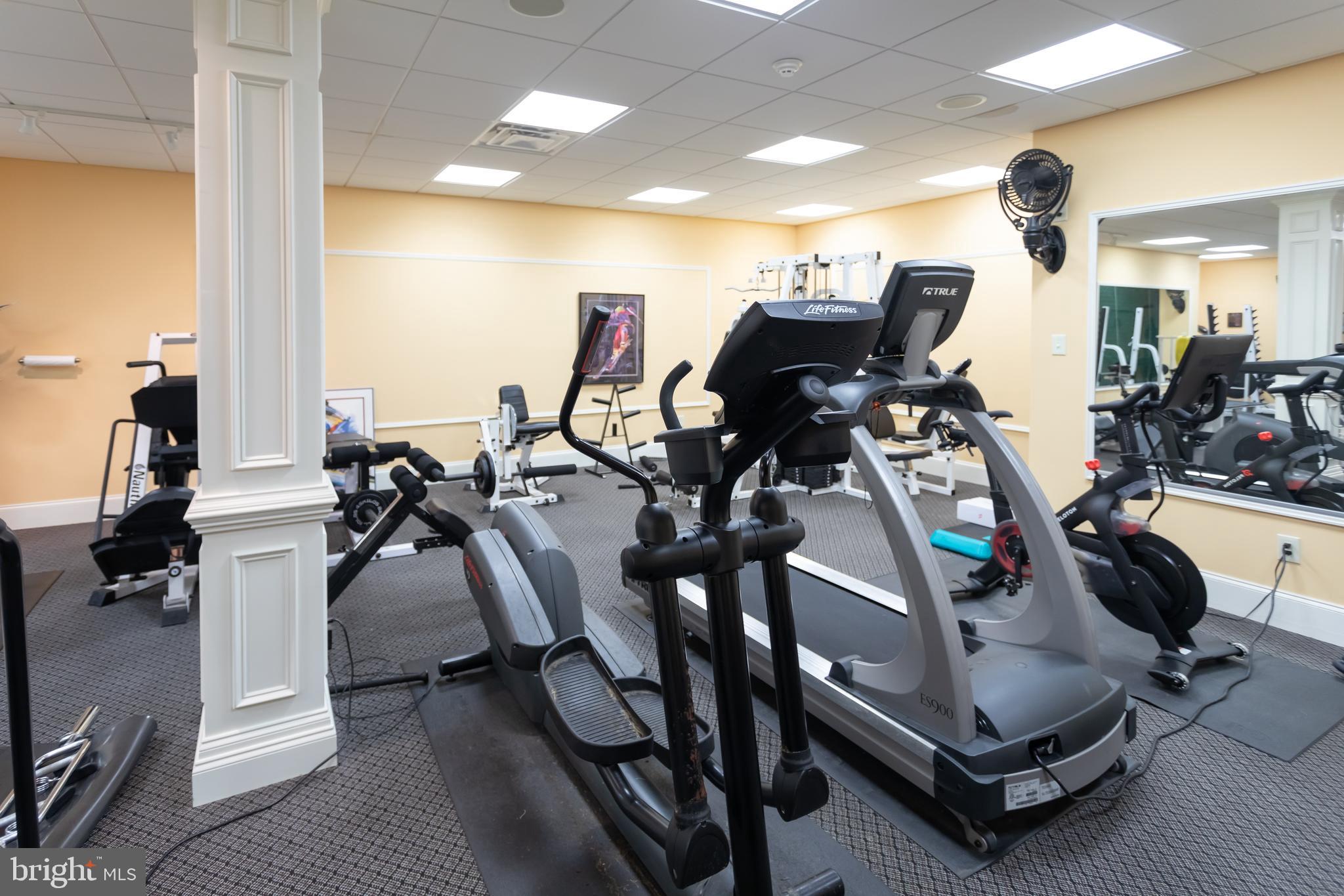 904 Wootton Road Bryn Mawr, PA 19010 - Photo 31 of 38 Huge gym in lower level