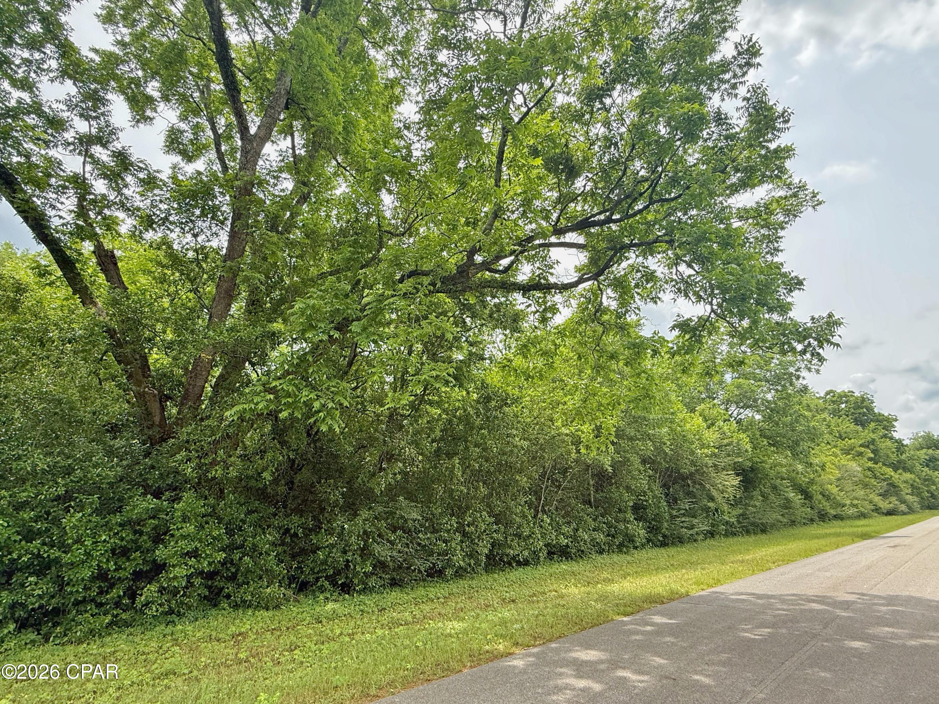 5107 Cloverdale Road Graceville, FL 32440 - Photo 6 of 21