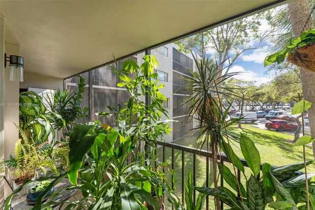 a view of a plant in a garden