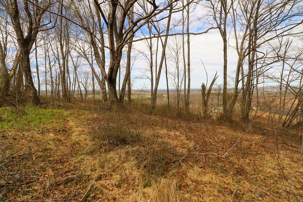 Tbd Tbd Keno Road, Unit 1 Laurel Fork, VA 24352 - Photo 6 of 20 Gallery Image 6