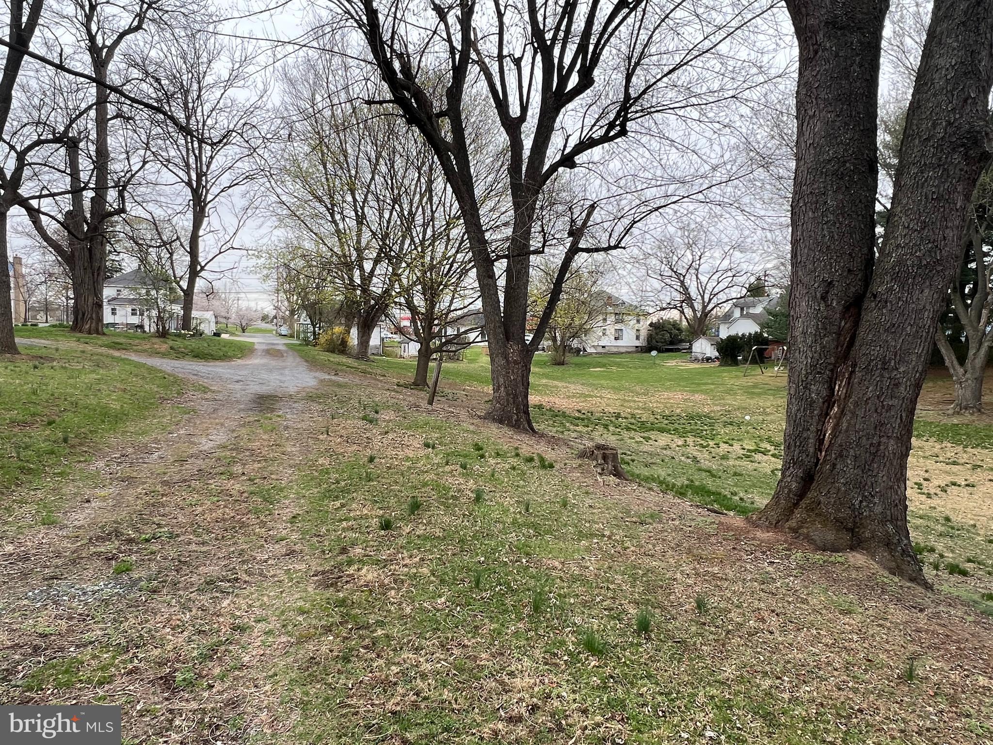 3 East Oak Ridge Drive Hagerstown, MD 21740 - Photo 6 of 13 a view of a yard with a tree