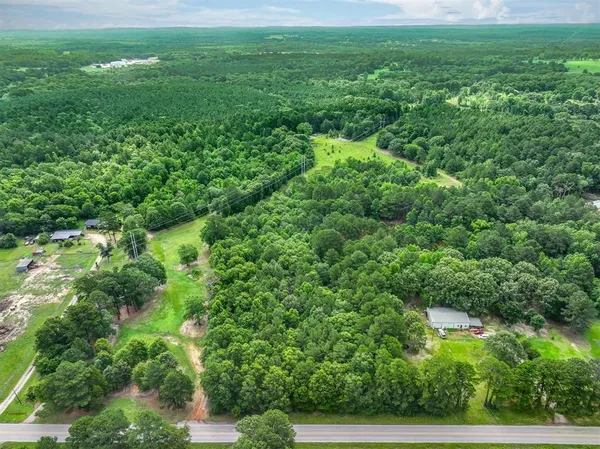 a view of a lush green space