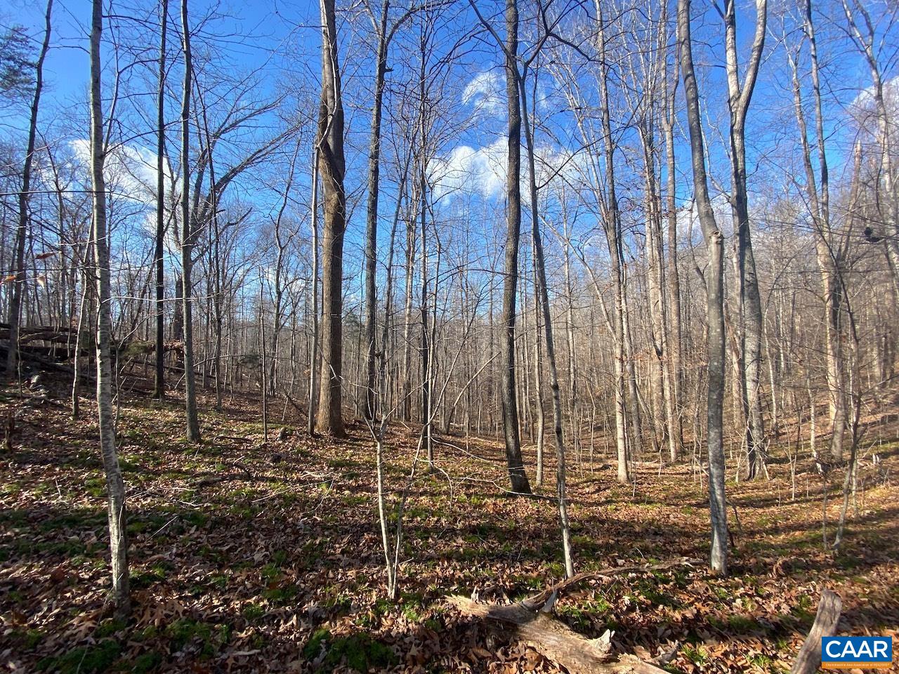 Walnut Grove Lane Lovingston, VA 22949 - Photo 2 of 11 a backyard of a house with lots of green space