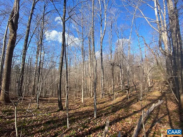a view of a backyard of the house