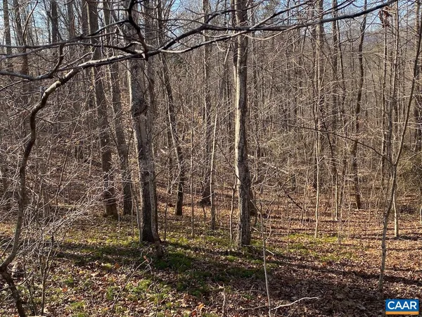 a view of a pathway of a building