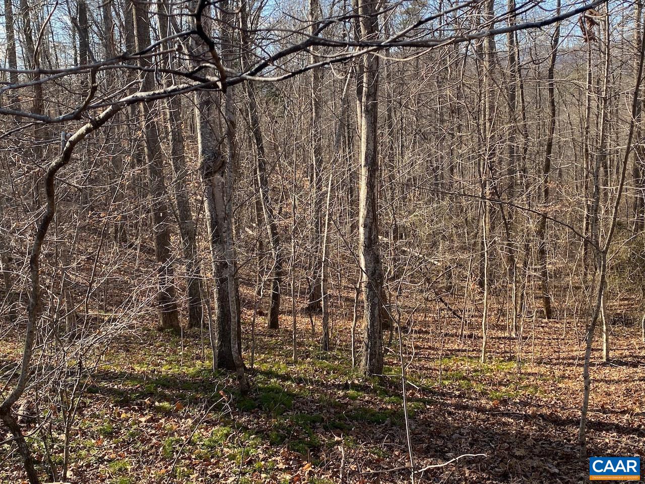 Walnut Grove Lane Lovingston, VA 22949 - Photo 4 of 11 a view of a pathway of a building