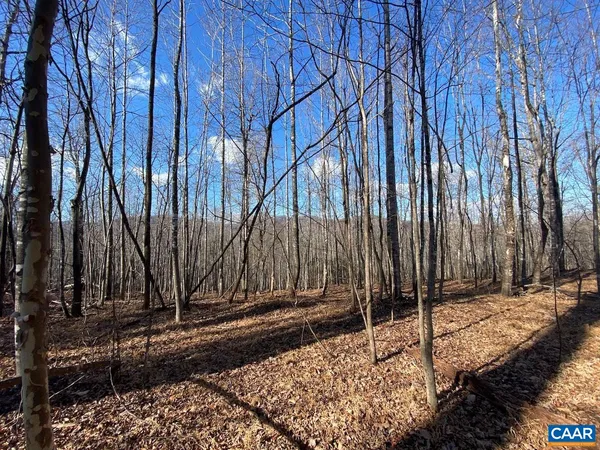 a view of a backyard of the house