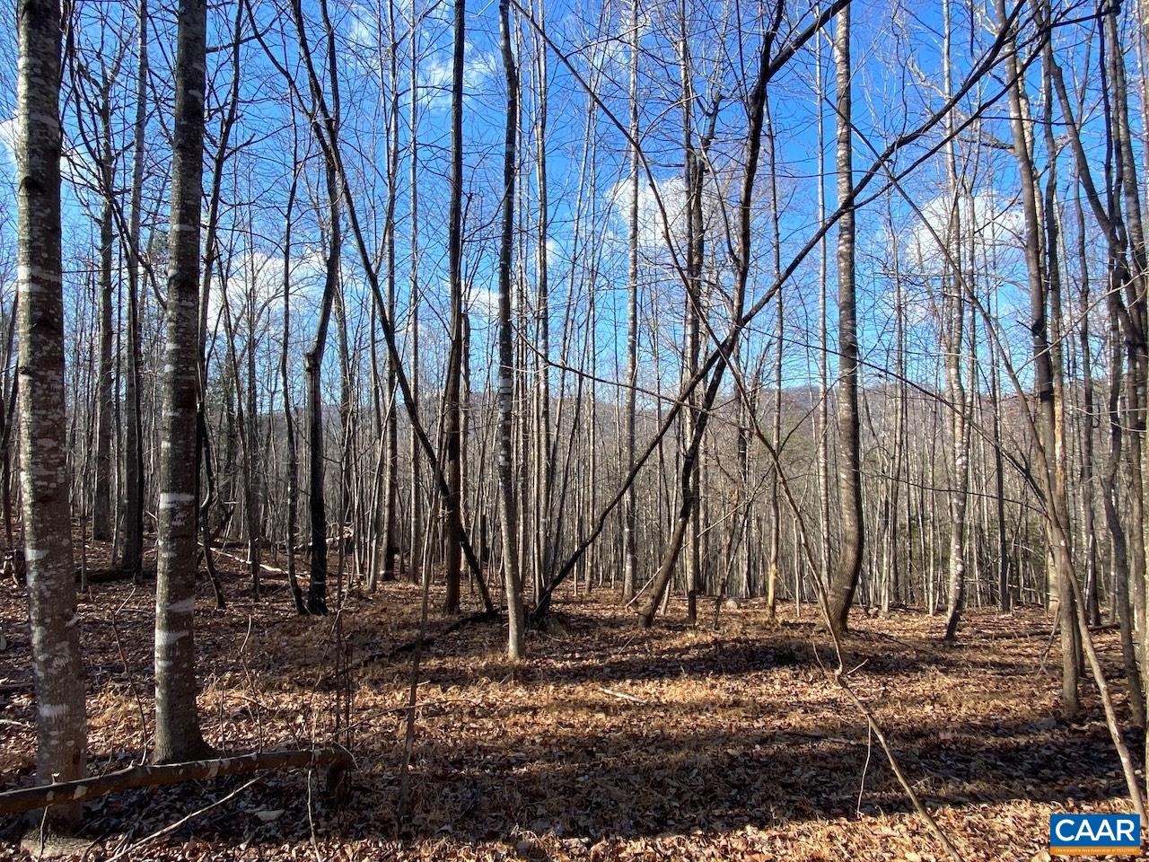Walnut Grove Lane Lovingston, VA 22949 - Photo 6 of 11 a backyard of a house with lots of green space