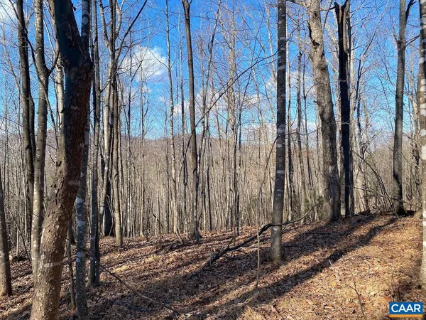 a view of a backyard of the house