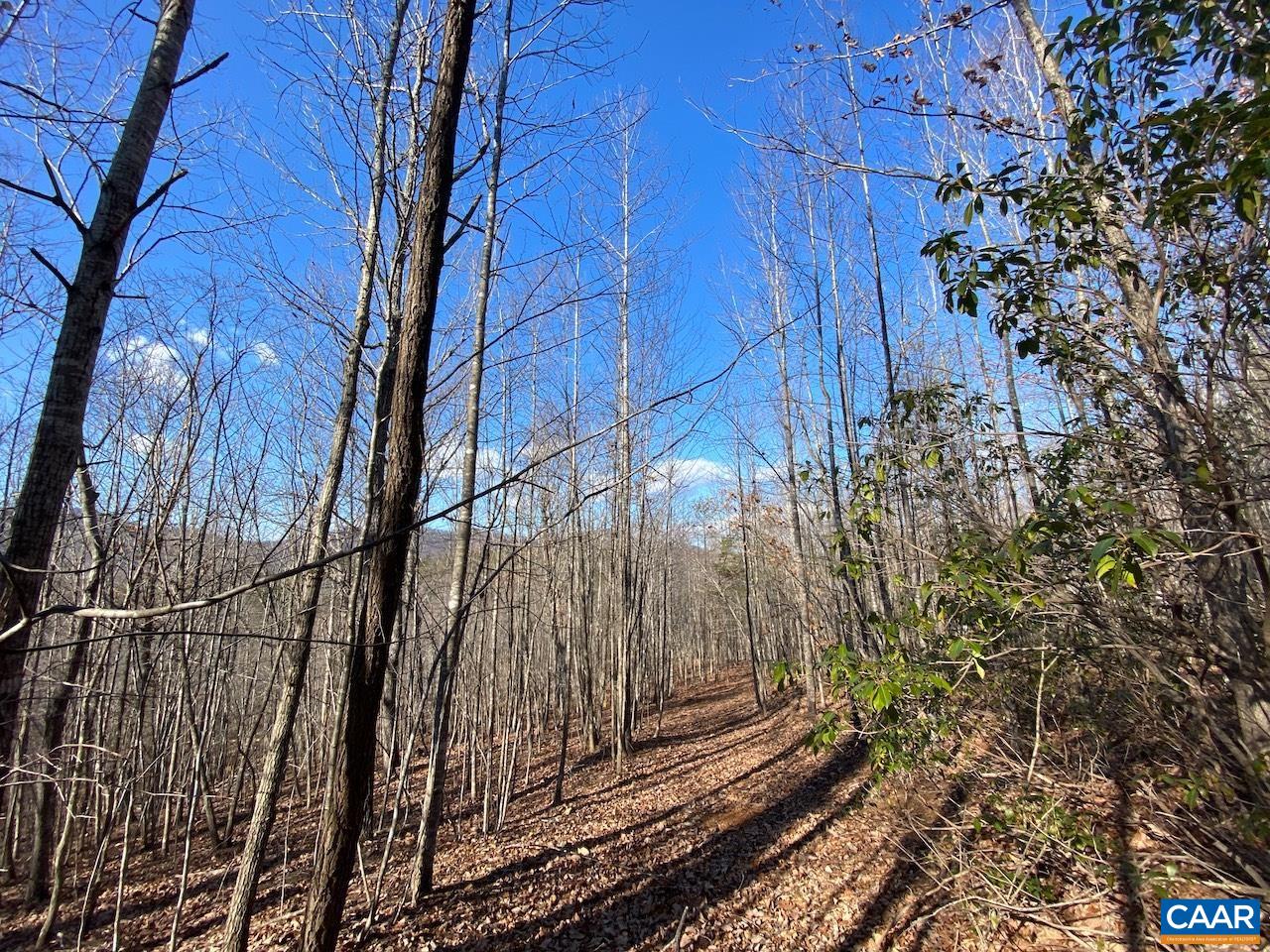 Walnut Grove Lane Lovingston, VA 22949 - Photo 8 of 11 a view of a backyard