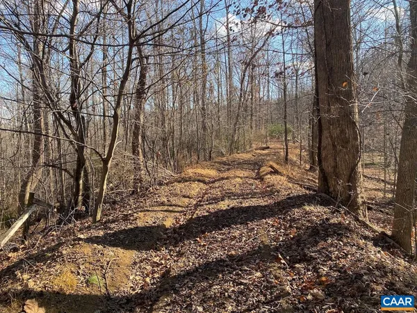 a view of house with trees