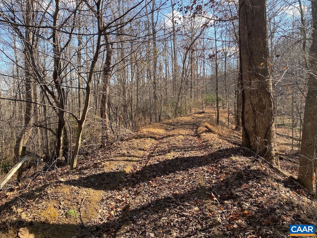Walnut Grove Lane Lovingston, VA 22949 - Photo 9 of 11 a view of house with trees