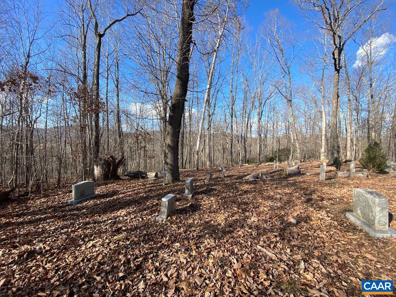 Walnut Grove Lane Lovingston, VA 22949 - Photo 10 of 11 a backyard of a house with lots of green space