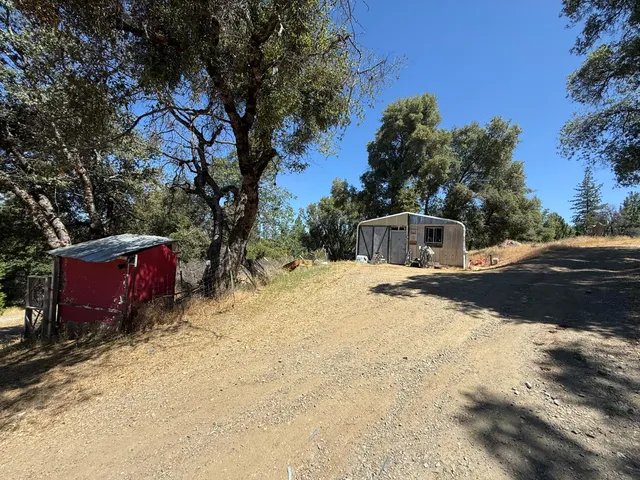 a street view covered with tall trees