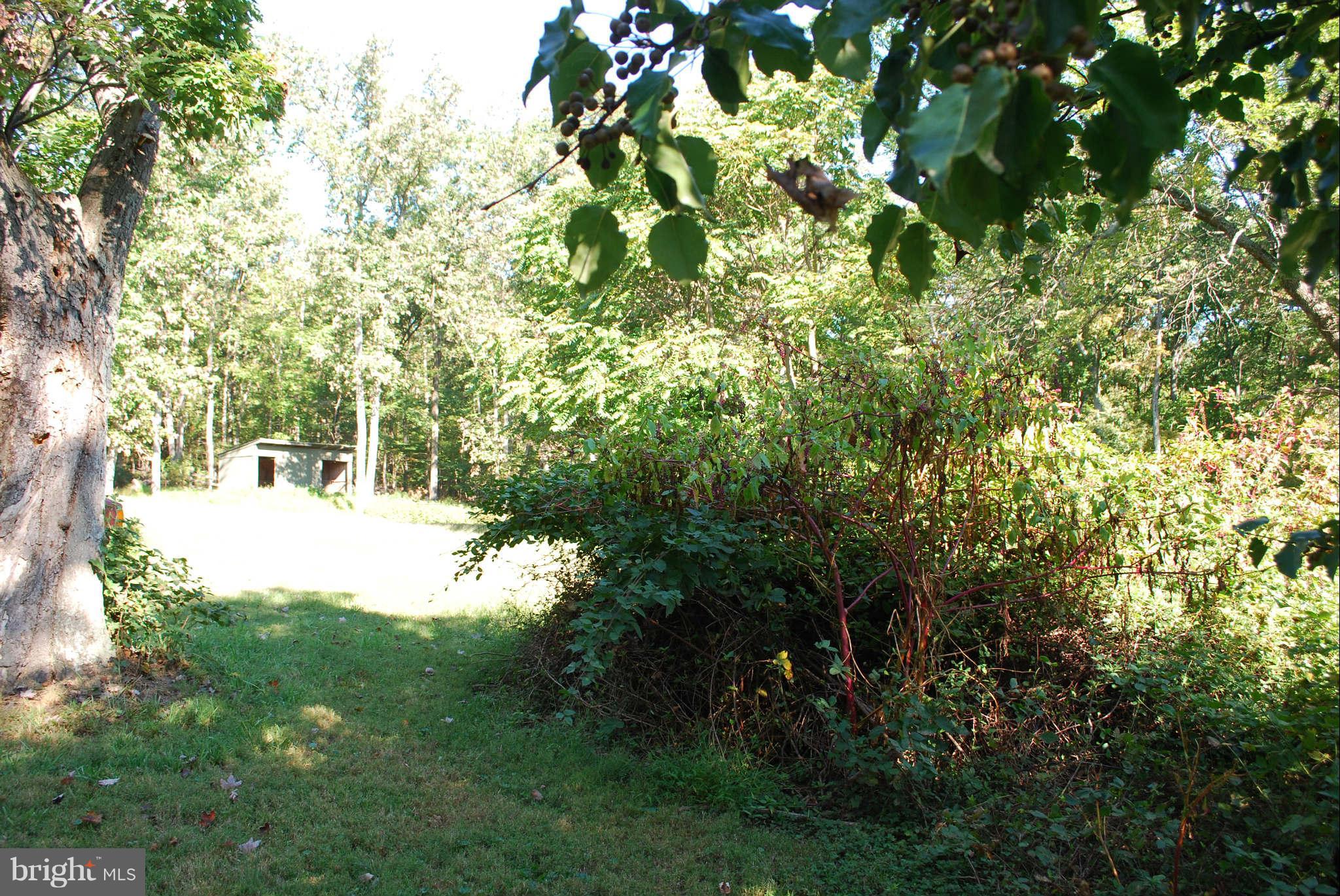 5378 Beverleys Mill Road Broad Run, VA 20137 - Photo 27 of 27 Small Run in Shed