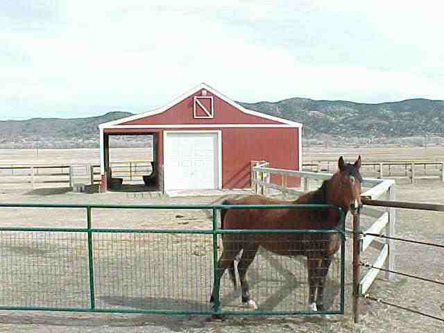 1647 Buzzys Ranch Road Carson City, NV 89701 - Photo 2 of 8 Gallery Image 2