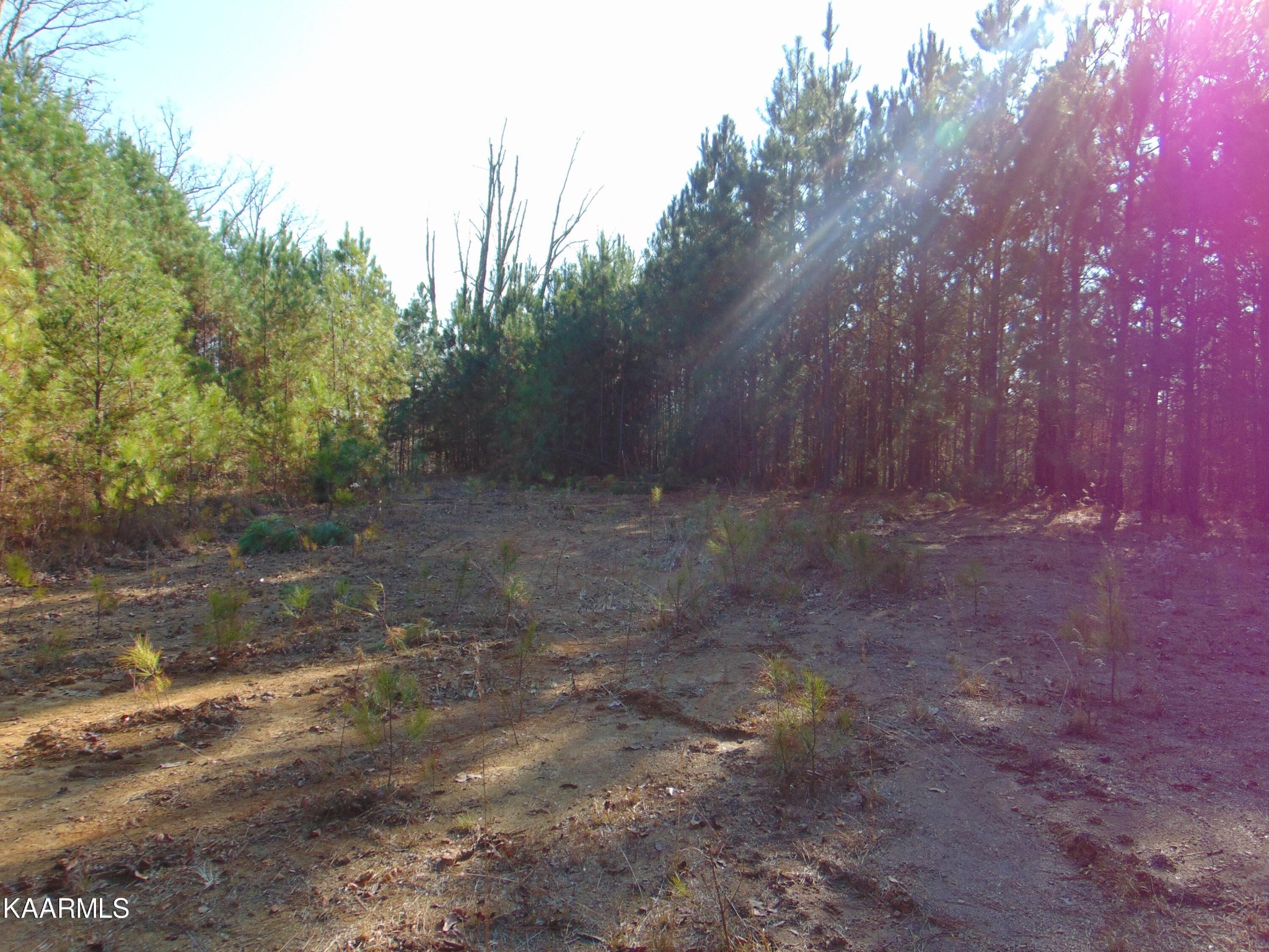 738 Lamontville Road Decatur, TN 37322 - Photo 43 of 60