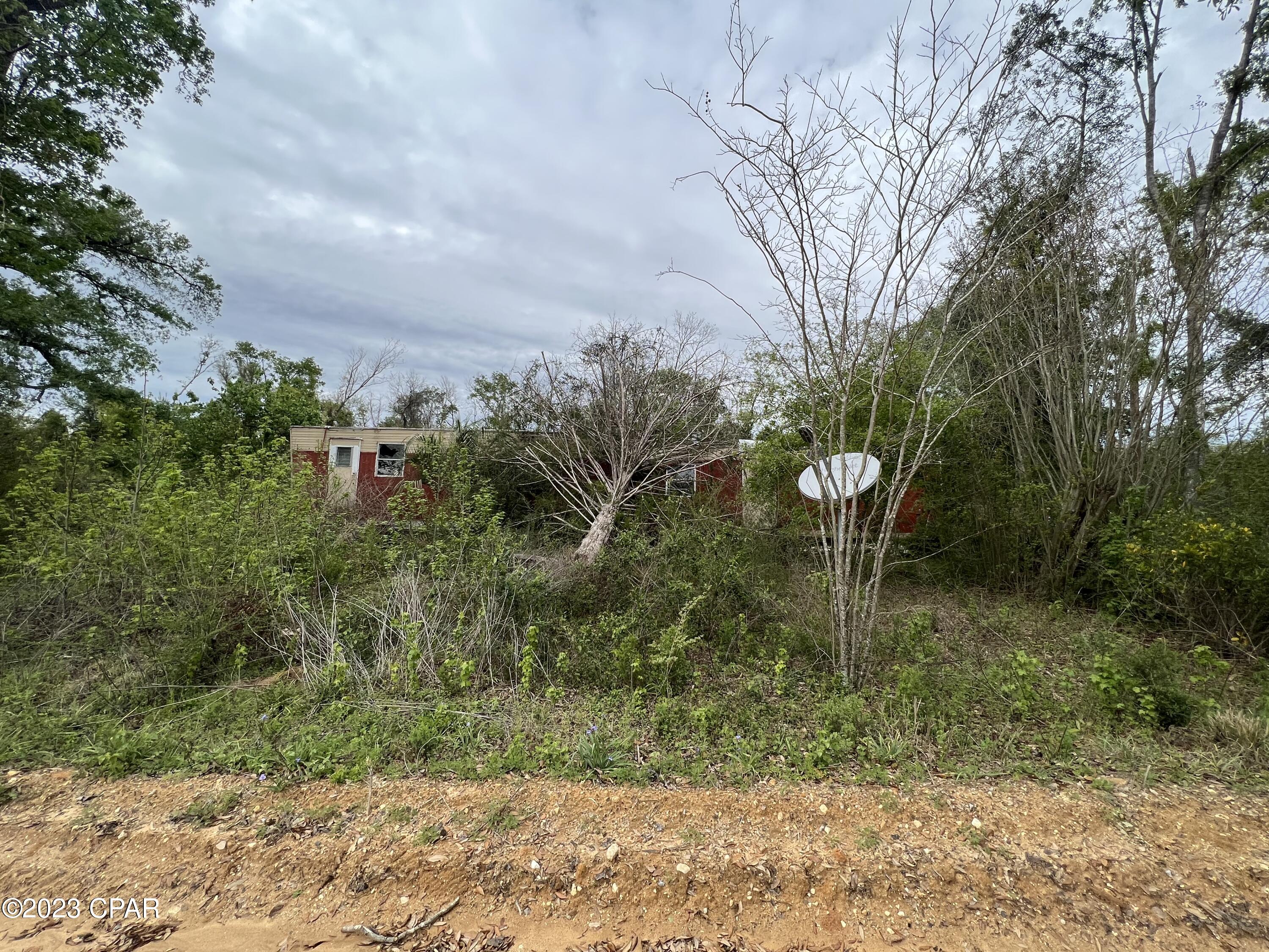 0 Cypress Creek Road Cottondale, FL 32431 - Photo 3 of 4