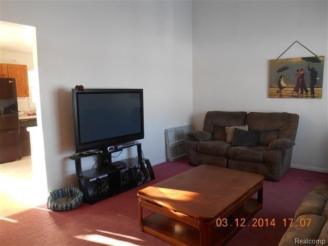 5301 Cade Road Imlay City, MI 48444 - Photo 7 of 36 lr 3.jpg