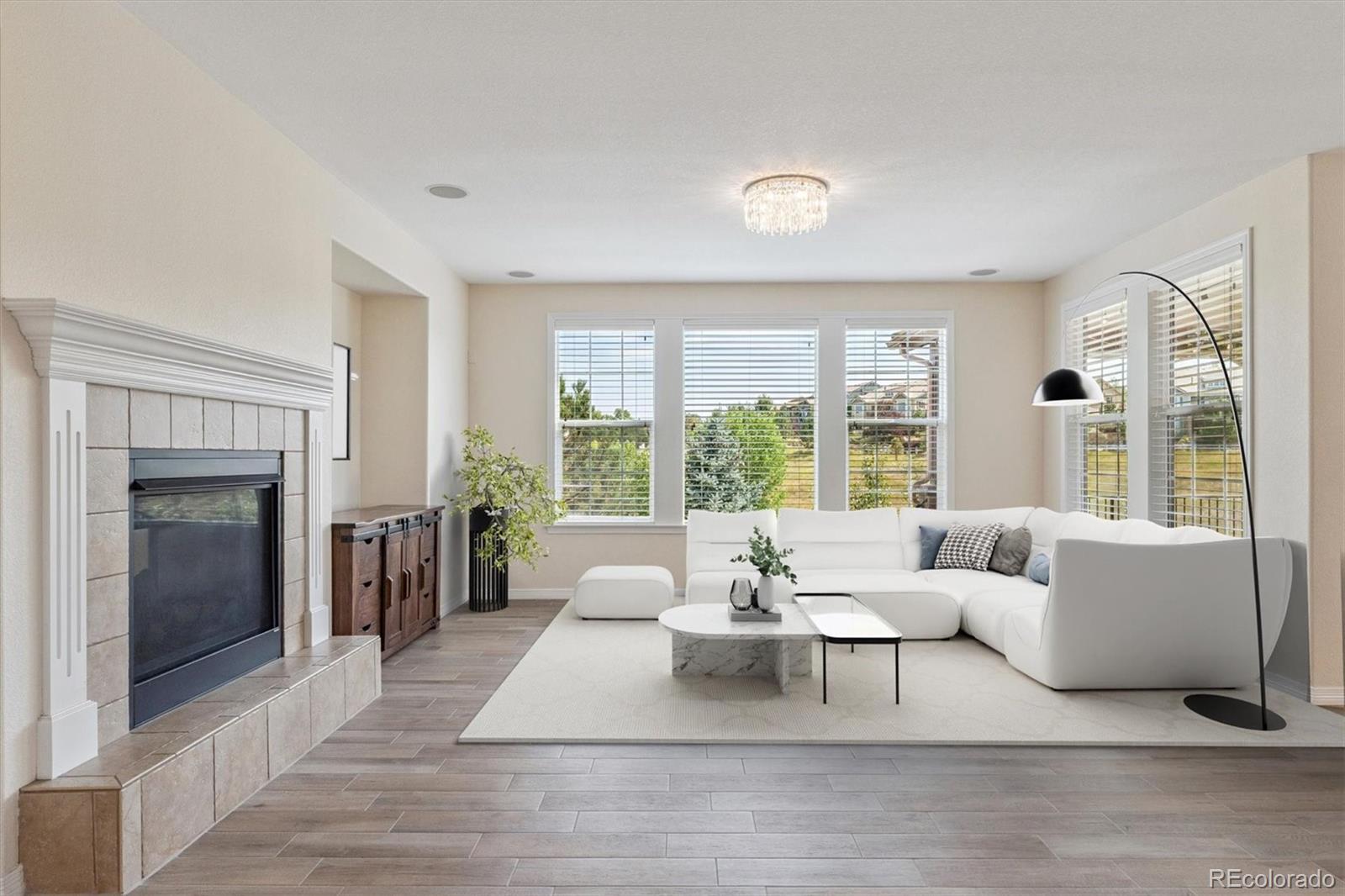 10426 Willowwisp Way Highlands Ranch, CO 80126 - Photo 16 of 47 a living room with furniture and a fireplace