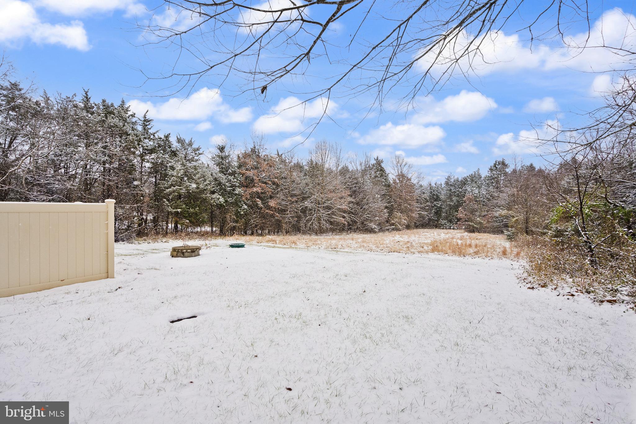 10757 Shenandoah Path Catlett, VA 20119 - Photo 13 of 55 a view of yard covered with snow in outdoor space