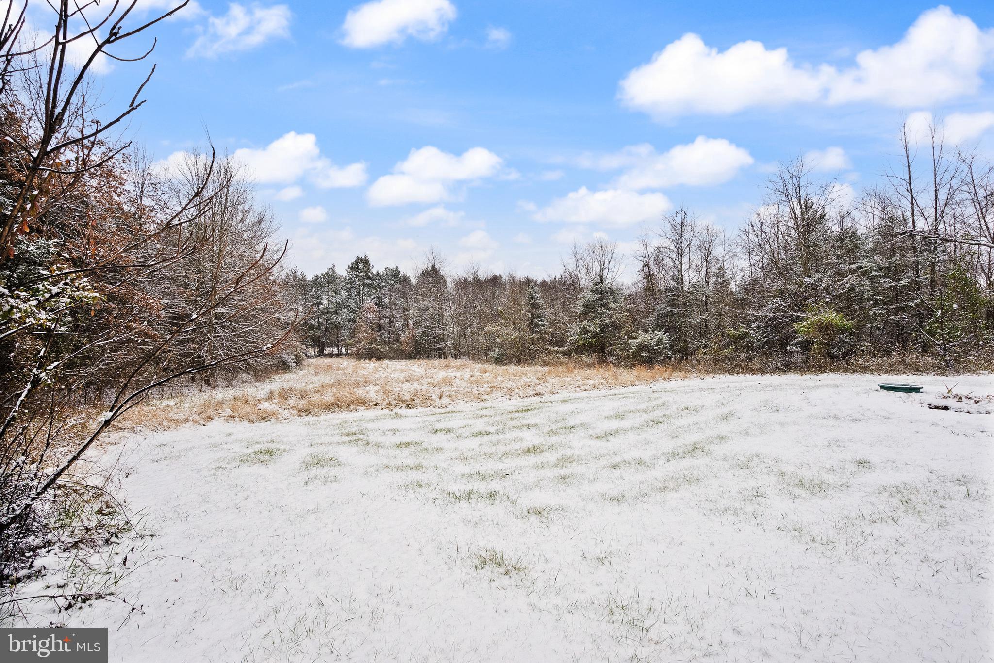 10757 Shenandoah Path Catlett, VA 20119 - Photo 14 of 55 a view of a dry yard covered in snow