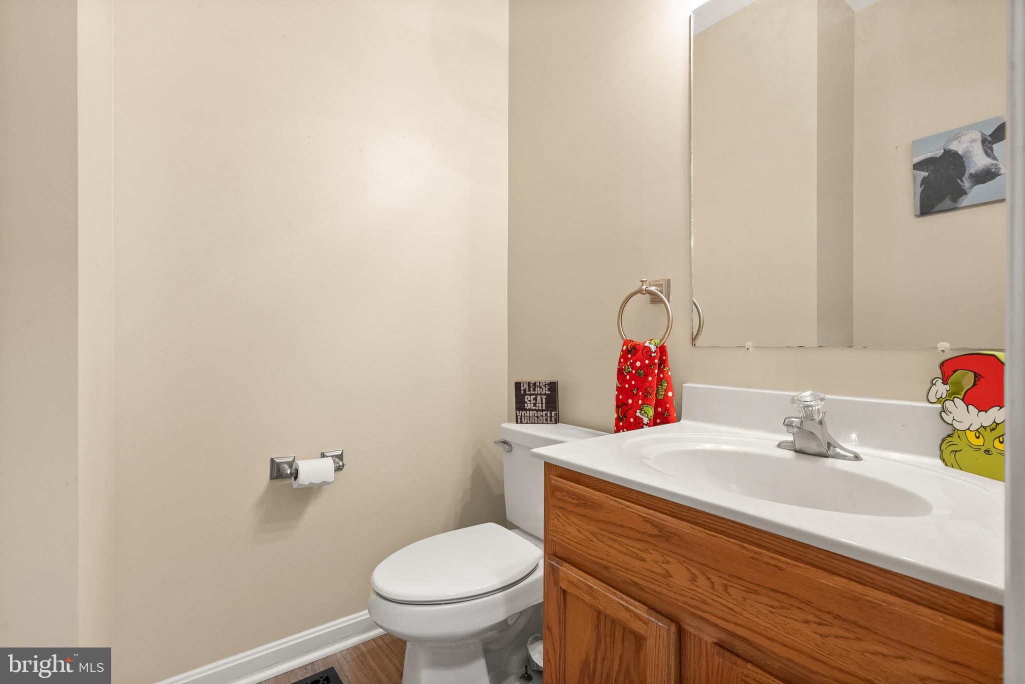 10757 Shenandoah Path Catlett, VA 20119 - Photo 30 of 55 a bathroom with a sink and a toilet