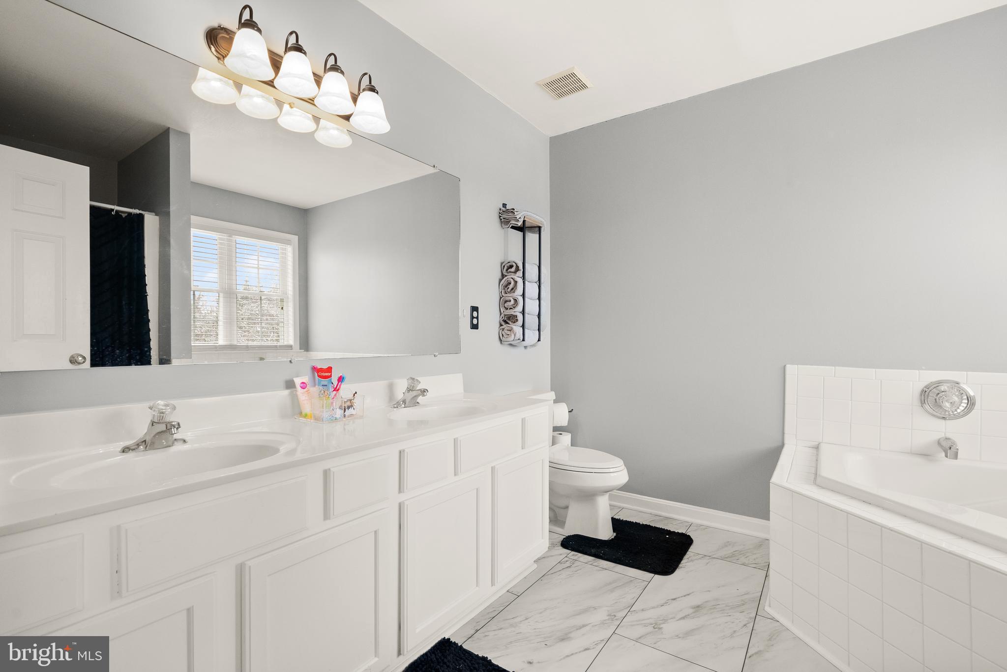 10757 Shenandoah Path Catlett, VA 20119 - Photo 37 of 55 a bathroom with a sink a toilet and a mirror