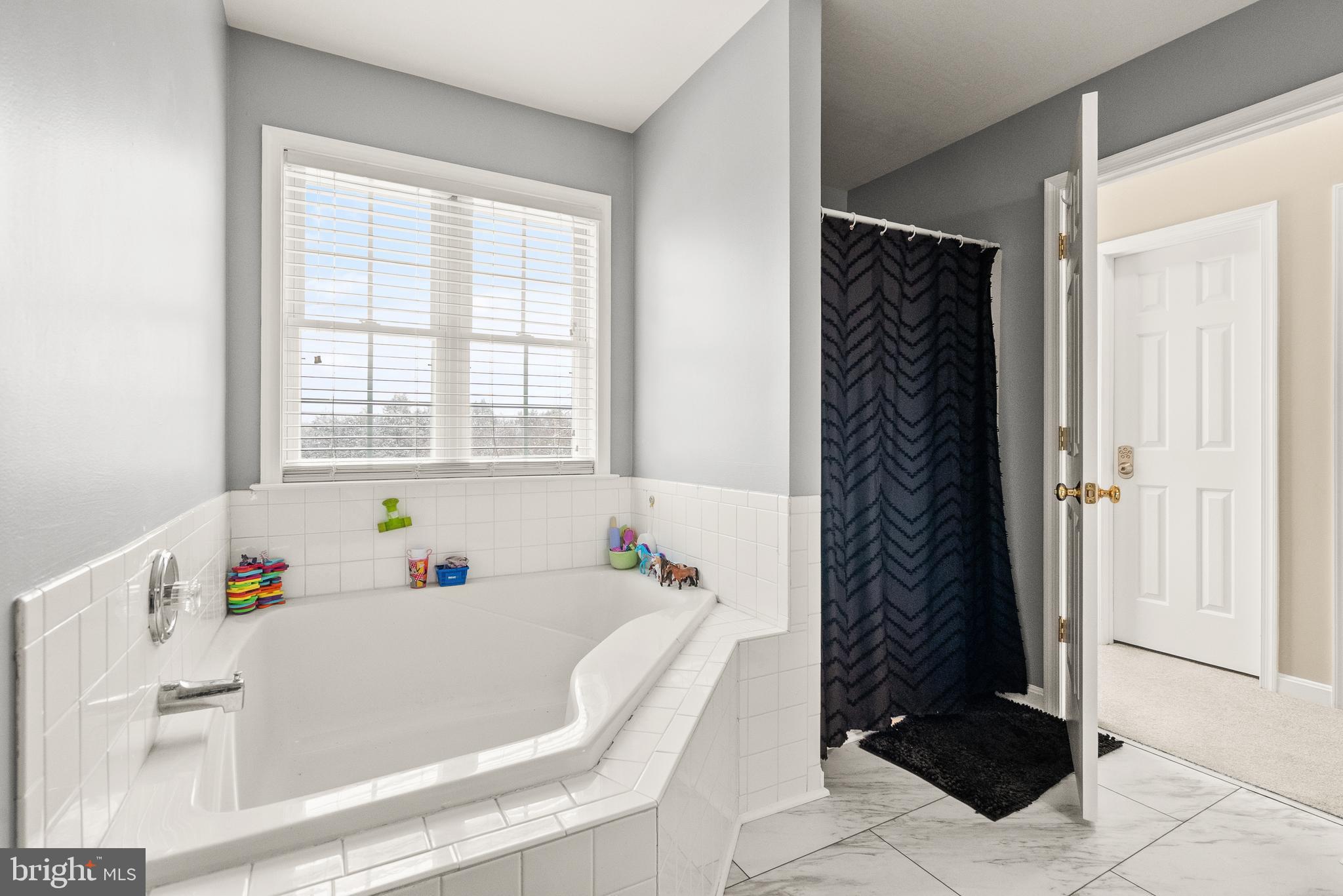 10757 Shenandoah Path Catlett, VA 20119 - Photo 38 of 55 a white bath tub sitting in a bathroom next to a window