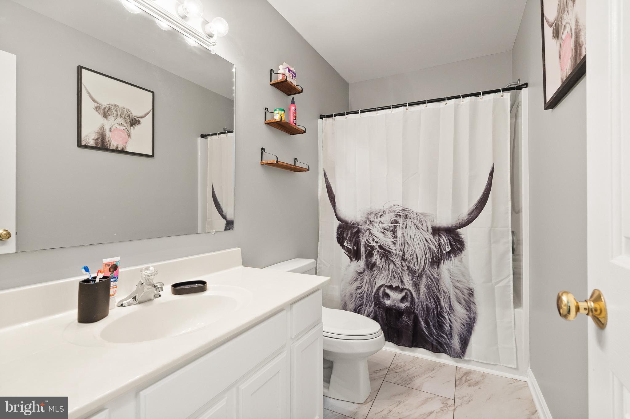 10757 Shenandoah Path Catlett, VA 20119 - Photo 43 of 55 a bathroom with a sink toilet and shower