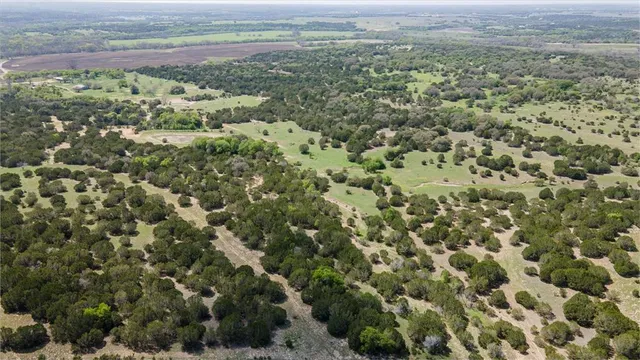 a view of a field with a lush green forest