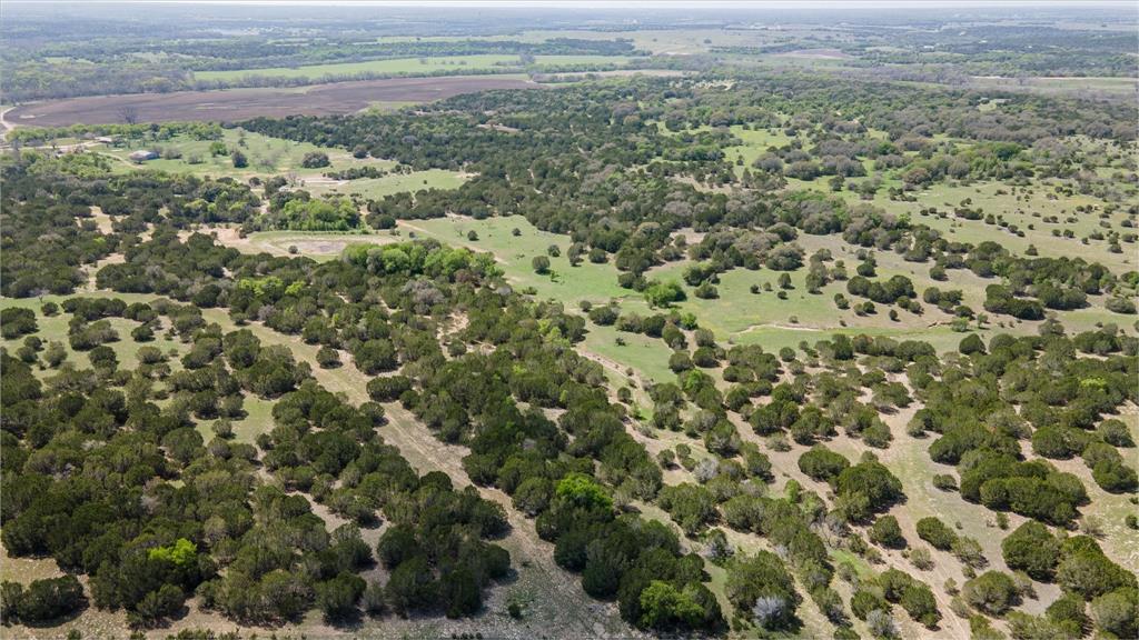 9885 County Road 270 Hico, TX 76457 - Photo 36 of 40 a view of a field with a lush green forest