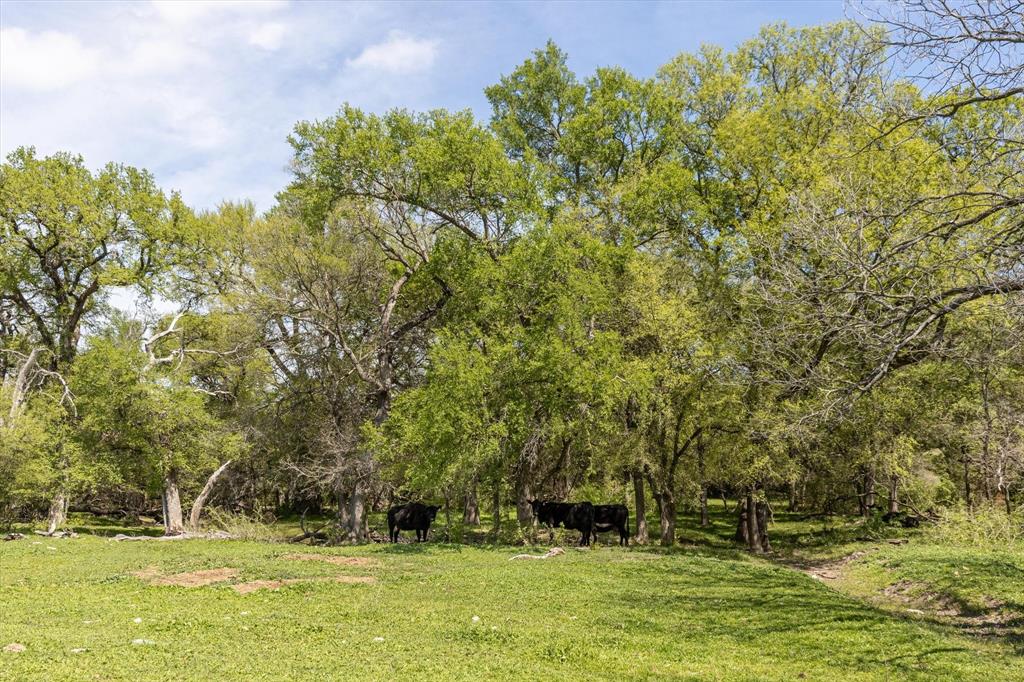 9885 County Road 270 Hico, TX 76457 - Photo 9 of 40 a view of outdoor space with swimming pool and green space