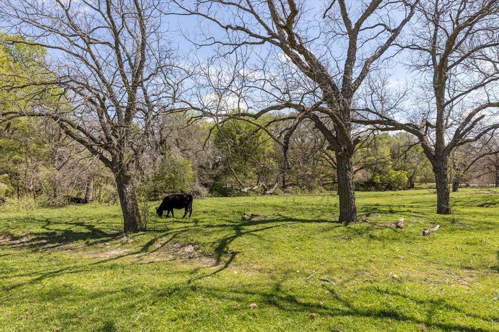 9885 County Road 270 Hico, TX 76457 - Photo 10 of 40 a view of yard with trees