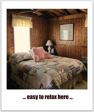 445 Elk Lake Resort Road Owenton, KY 40359 - Photo 14 of 22 Gallery Image 14
