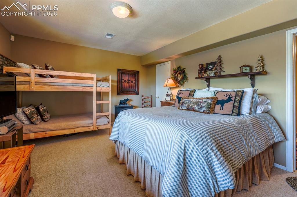 7260 Remington Road Como, CO 80432 - Photo 28 of 47 Downstairs bedroom!